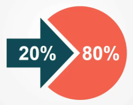 a pie chart showing the 20/80 split
